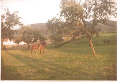 60er