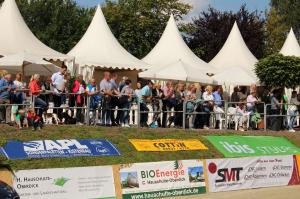 Jubiläum 50 Jahre Reitverein Vosswinkel